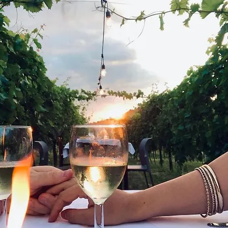 Lantgård Oasi Biologica *